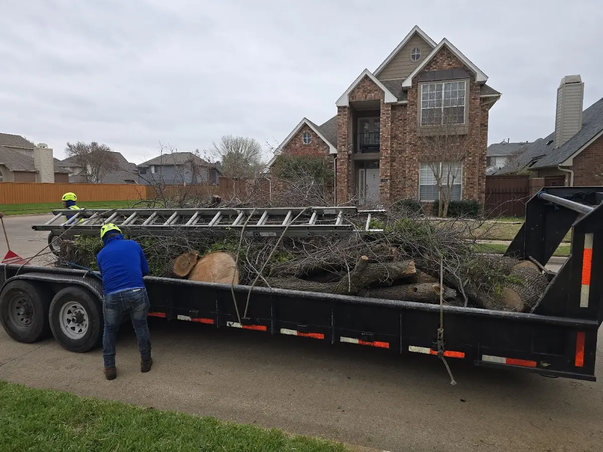 Expert Tree Removal with proper safety equipment in Duck Hill